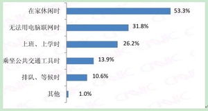 中國互聯(lián)網(wǎng)絡(luò)信息中心（CNNIC）的互聯(lián)網(wǎng)數(shù)據(jù)服務(wù)概述