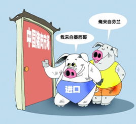 豬肉進口量創新高，價格優勢推動網上貿易代理興起