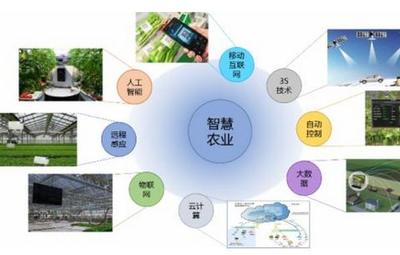智慧農(nóng)業(yè)的數(shù)據(jù)網(wǎng)絡(luò)技術(shù)與物聯(lián)網(wǎng)應(yīng)用服務(wù)切入路徑